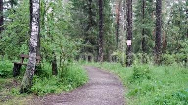 在森林里用长凳徒步旅行。 库存录像。 小径召唤游客深入绿色森林。 带长凳的小径